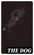 eBook: The Dog