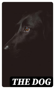 eBook: The Dog