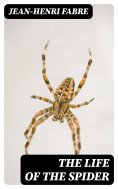 ebook: The Life of the Spider