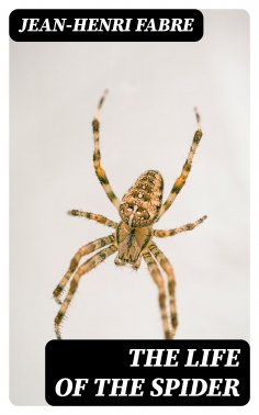 ebook: The Life of the Spider
