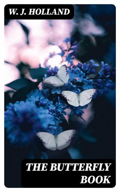 eBook: The Butterfly Book