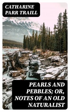 eBook: Pearls and Pebbles; or, Notes of an Old Naturalist