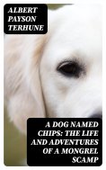 eBook: A Dog Named Chips: The Life and Adventures of a Mongrel Scamp