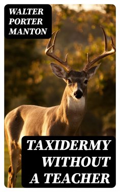 eBook: Taxidermy without a Teacher