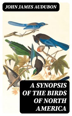 eBook: A Synopsis of the Birds of North America