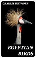eBook: Egyptian Birds