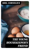 eBook: The Young Housekeeper's Friend