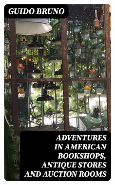 eBook: Adventures in American Bookshops, Antique Stores and Auction Rooms