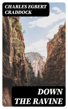 eBook: Down the Ravine