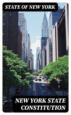 ebook: New York State Constitution