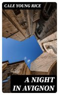 eBook: A Night in Avignon