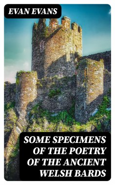 ebook: Some Specimens of the Poetry of the Ancient Welsh Bards