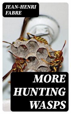 ebook: More Hunting Wasps