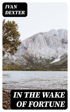 eBook: In the Wake of fortune