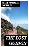 eBook: The Lost Guidon