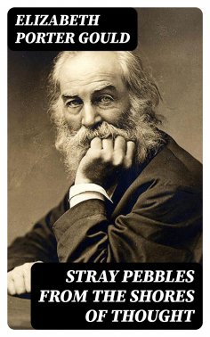 eBook: Stray Pebbles from the Shores of Thought