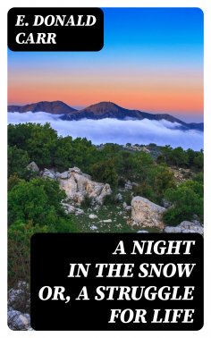 eBook: A Night in the Snow or, A Struggle for Life