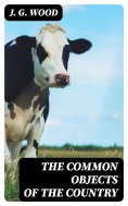 eBook: The Common Objects of the Country