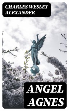 eBook: Angel Agnes