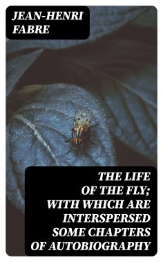 ebook: The Life of the Fly; With Which are Interspersed Some Chapters of Autobiography