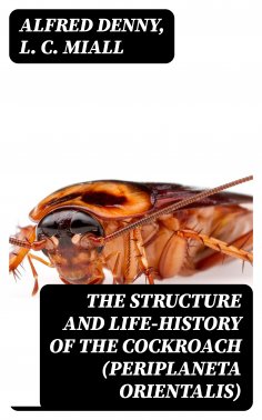 eBook: The Structure and Life-history of the Cockroach (Periplaneta orientalis)