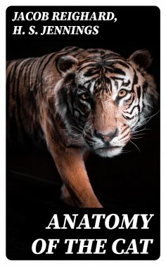 eBook: Anatomy of the Cat