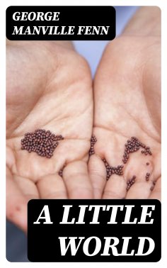 eBook: A Little World