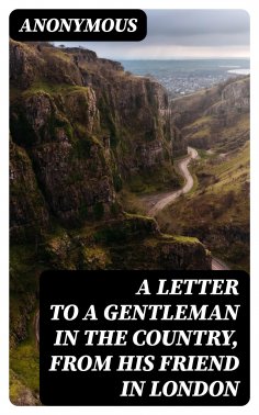 ebook: A Letter to a Gentleman in the Country, from His Friend in London