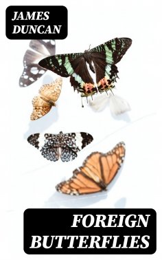 eBook: Foreign Butterflies
