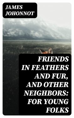ebook: Friends in Feathers and Fur, and Other Neighbors: For Young Folks