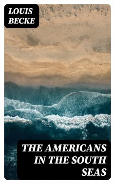 ebook: The Americans In The South Seas