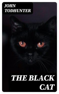 eBook: The Black Cat