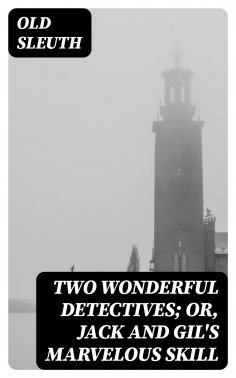 eBook: Two Wonderful Detectives; Or, Jack and Gil's Marvelous Skill