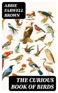 eBook: The Curious Book of Birds