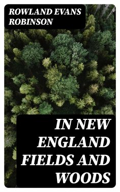 eBook: In New England Fields and Woods