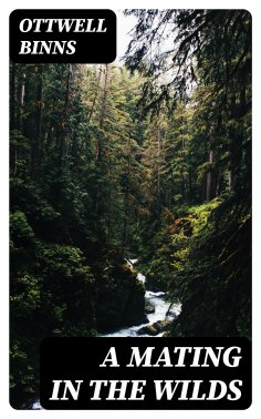 eBook: A Mating in the Wilds