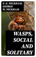 eBook: Wasps, Social and Solitary