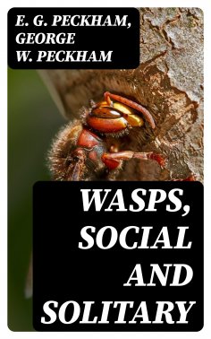 eBook: Wasps, Social and Solitary