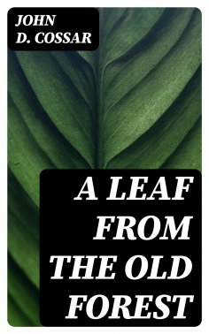 eBook: A Leaf from the Old Forest