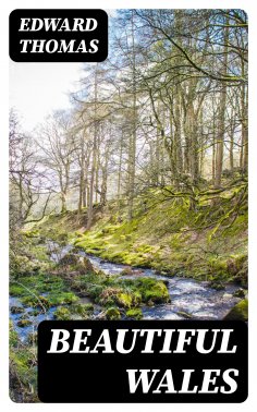 ebook: Beautiful Wales
