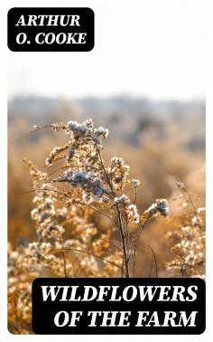 eBook: Wildflowers of the Farm