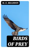eBook: Birds of Prey