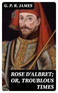 eBook: Rose D'Albret; or, Troublous Times