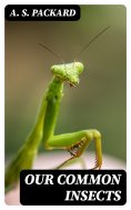 eBook: Our Common Insects