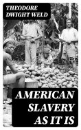 eBook: American Slavery as It is