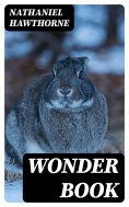 eBook: Wonder Book