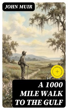 eBook: A 1000 Mile Walk to the Gulf
