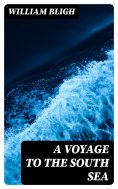 eBook: A Voyage to the South Sea