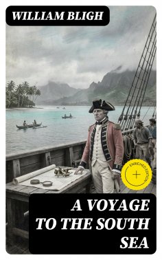 eBook: A Voyage to the South Sea (Annotated)