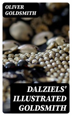 ebook: Dalziels' Illustrated Goldsmith